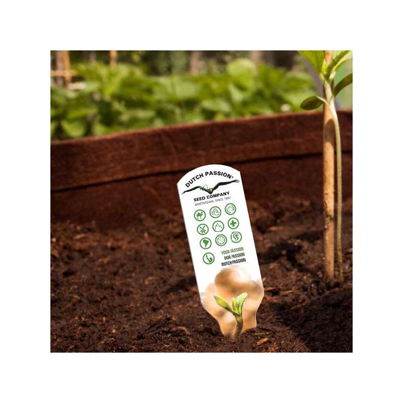 Dutch Passion ® Plant pot label. Dutch Passion. Dutch Passion ® Plant pot label. Dutch Passion.