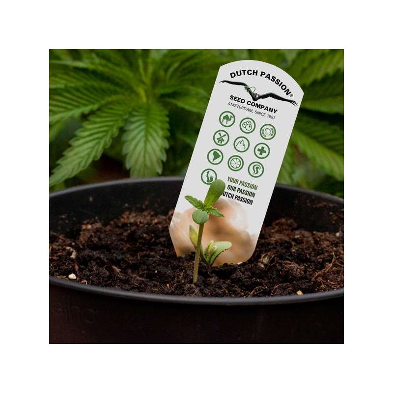 Этикетки для растений