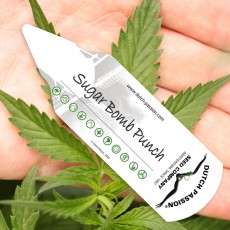 Dutch Passion ® Plant pot label. Dutch Passion. Dutch Passion ® Plant pot label. Dutch Passion.
