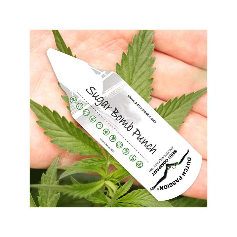 Этикетки для растений