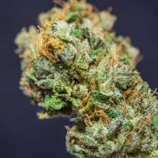 Frosty Friday Frosty Friday