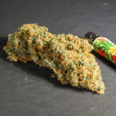 Pineapple Poison Pineapple Poison