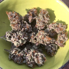 Golden Apple Haze Golden Apple Haze