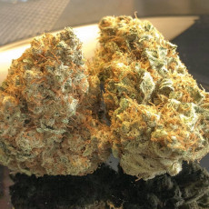 Lemon OG Lemon OG