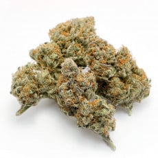 Buy Auto Banana Blaze® Autoflower Cannabis Seeds | Dutch Passion UK