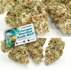 Semillas de Cannabis Sour Tropicana Sherbet | Dutch Passion ES Semillas de Cannabis Sour Tropicana Sherbet | Dutch Passion ES