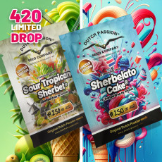 Semillas de Cannabis Sherbelato Cake | Dutch Passion ES Semillas de Cannabis Sherbelato Cake | Dutch Passion ES