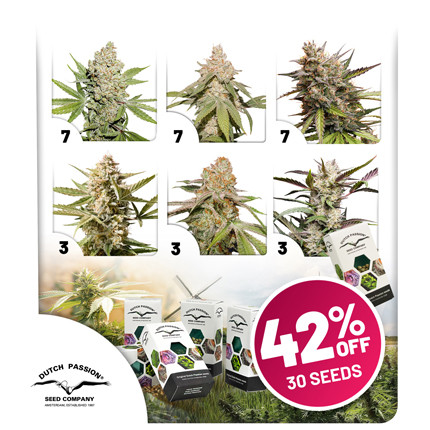 Confezione Promo Autofiorenti