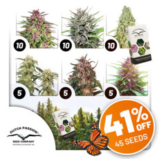 Oferta de Pack de Exterior Oferta de Pack de Exterior