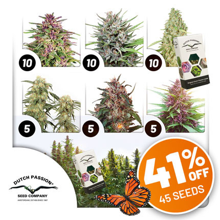 Oferta de Pack de Exterior Oferta de Pack de Exterior