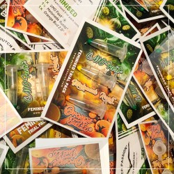 Trial Pack Feminised Trial Pack Feminised