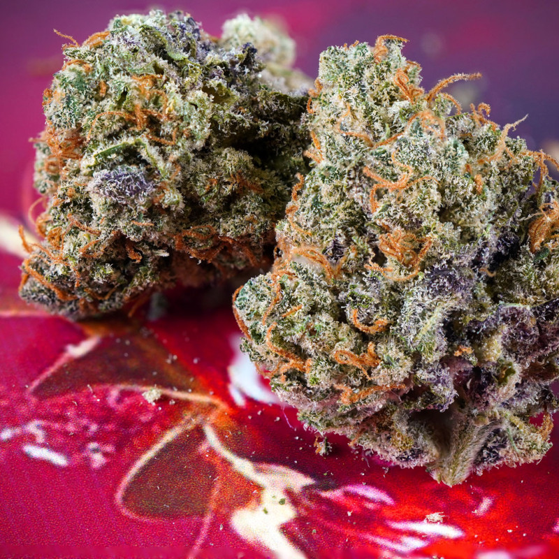 Auto Strawberry Soda Cannabis Seeds | Dutch Passion UK Auto Strawberry Soda Cannabis Seeds | Dutch Passion UK