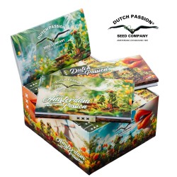 Dutch Passion x Jilter – Rolling papers & filters deluxe pack Dutch Passion x Jilter – Rolling papers & filters deluxe pack
