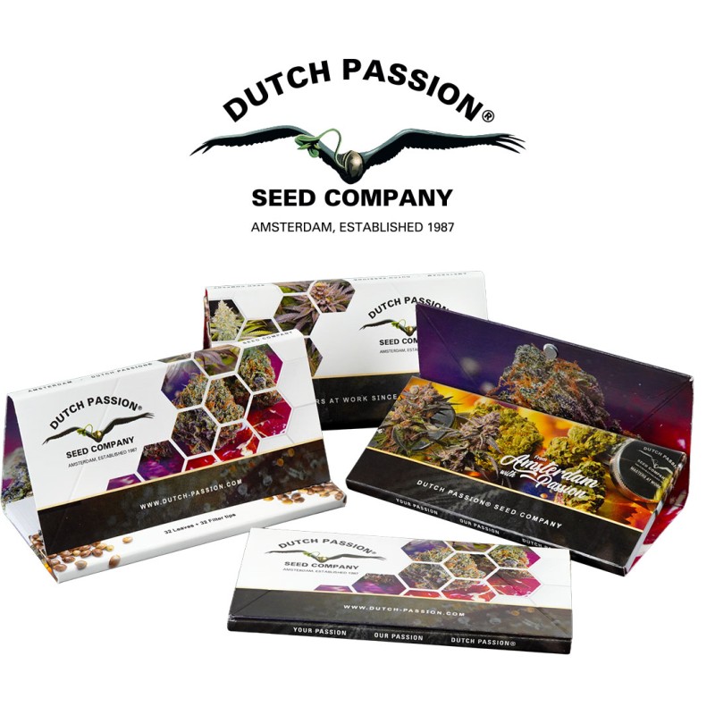 20-pack box of Dutch Passion King Size Slim Rolling Papers