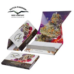 20-pack box of Dutch Passion King Size Slim Rolling Papers
