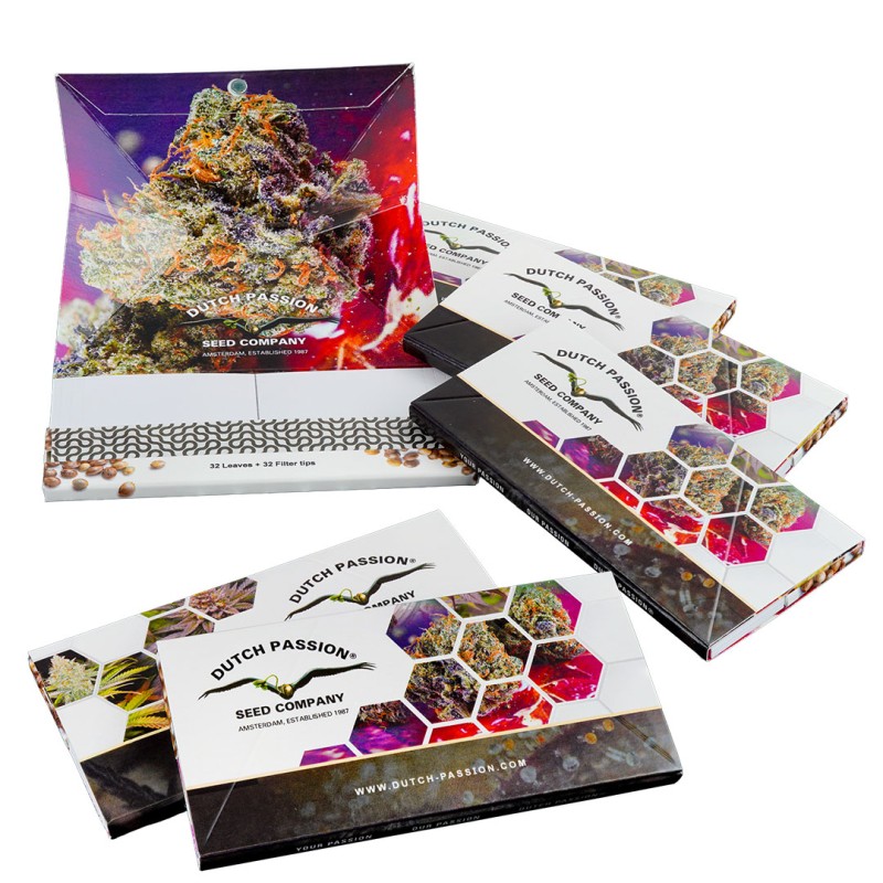 20-pack box of Dutch Passion King Size Slim Rolling Papers