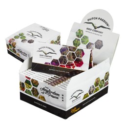 20-pack box of Dutch Passion King Size Slim Rolling Papers