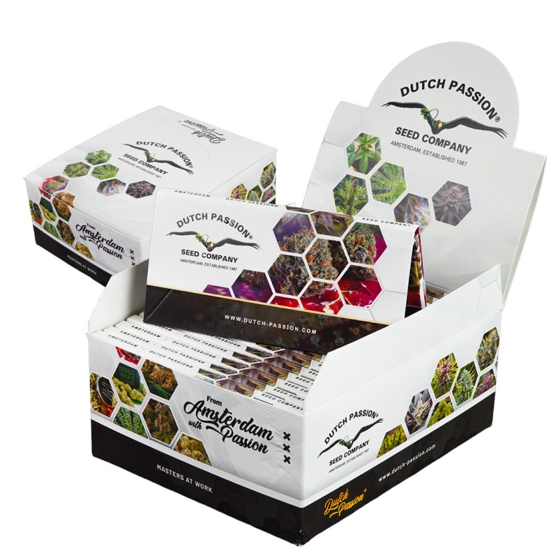 20-pack box of Dutch Passion King Size Slim Rolling Papers