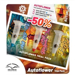Buy Your Autoflower Cannabis Seeds Trial Pack | Dutch Passion UK