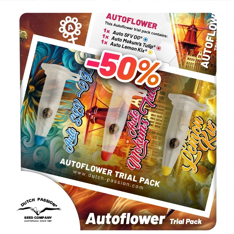 Buy Your Autoflower Cannabis Seeds Trial Pack | Dutch Passion UK