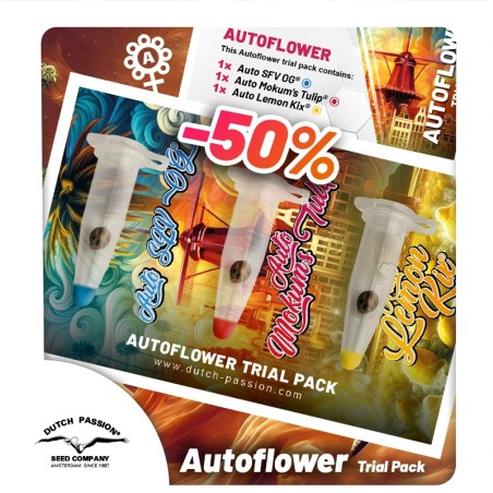 Buy Your Autoflower Cannabis Seeds Trial Pack | Dutch Passion UK Buy Your Autoflower Cannabis Seeds Trial Pack | Dutch Passion UK