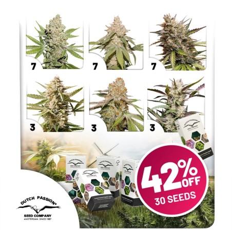 Autoflower Voordeelpakket