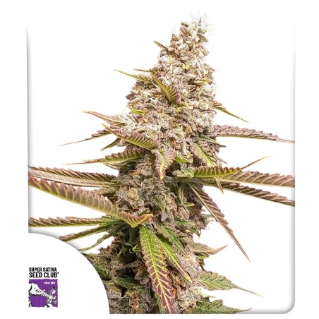 Strawberry Cookies