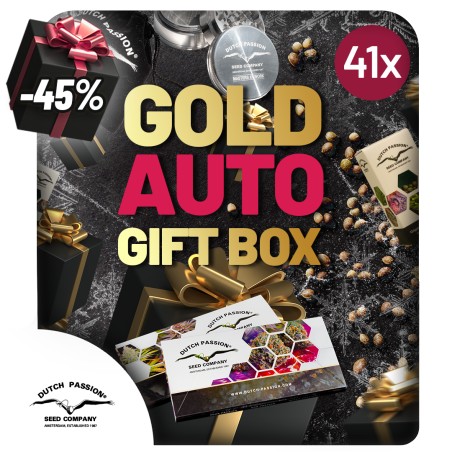 Christmas Discount Gift Box Autoflower | Dutch Passion