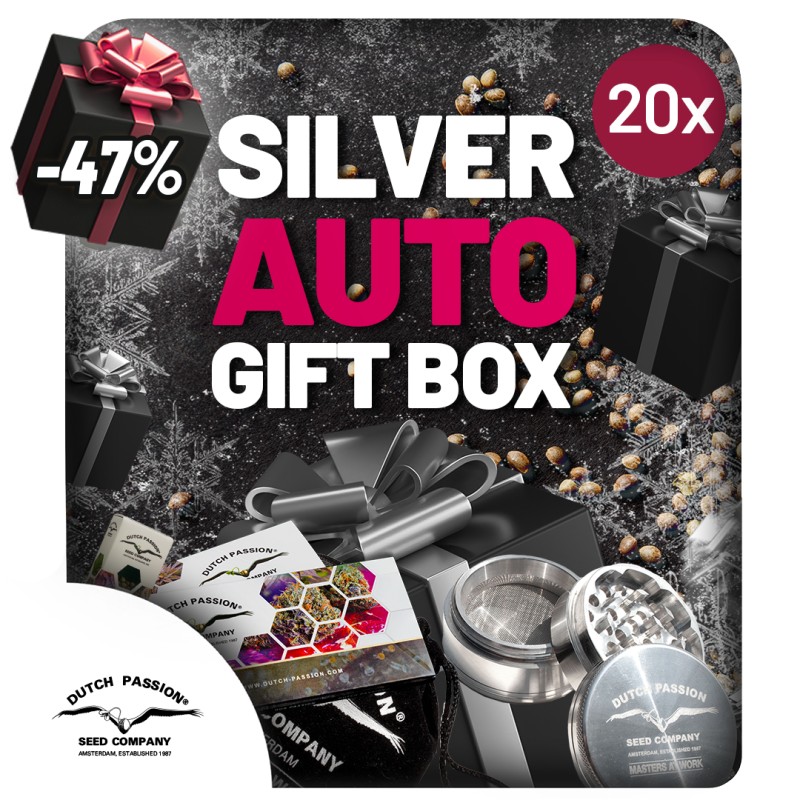 Christmas Discount Gift Box Autoflower | Dutch Passion