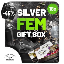 Christmas Discount Gift Box Feminized | Dutch Passion