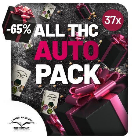 Xmas THC Autoflower Collection 37 seeds