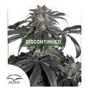 Bubba Island Kush® | Semi di cannabis fuori produzione