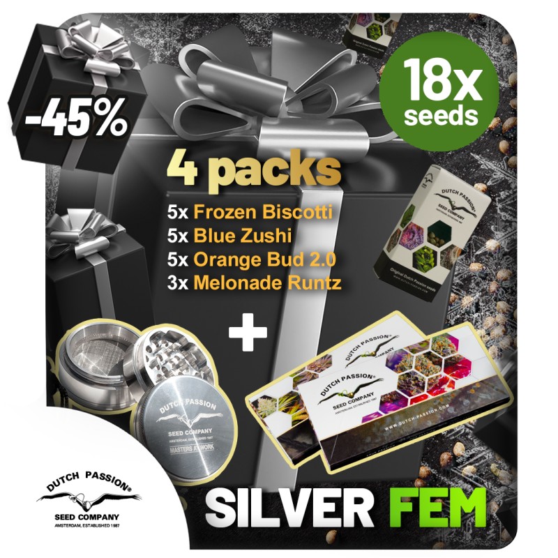 Christmas Discount Gift Box Feminized | Dutch Passion