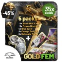 Christmas Discount Gift Box Feminized | Dutch Passion