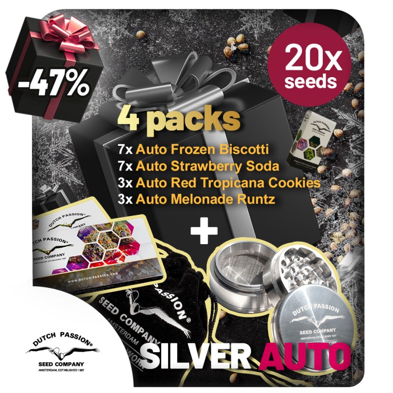 Christmas Discount Gift Box Autoflower | Dutch Passion