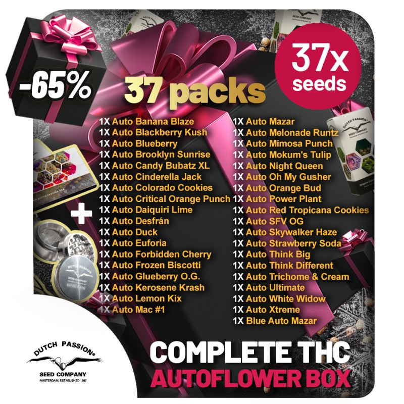 Xmas THC Autoflower Collection 37 zaden