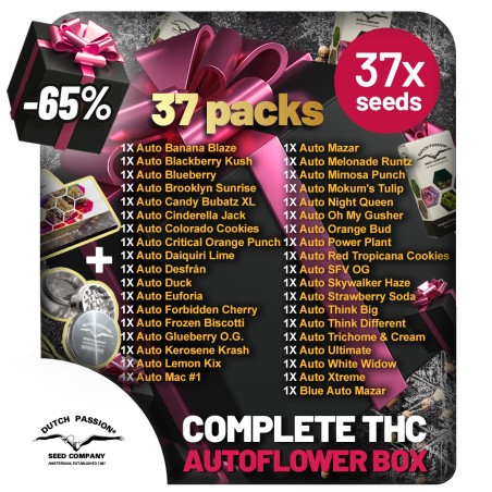 Xmas THC Autoflower Collection 37 zaden