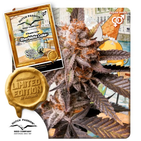 Sherblato Cake | Regulérní Konopná Semena (Limitovaná Edice)