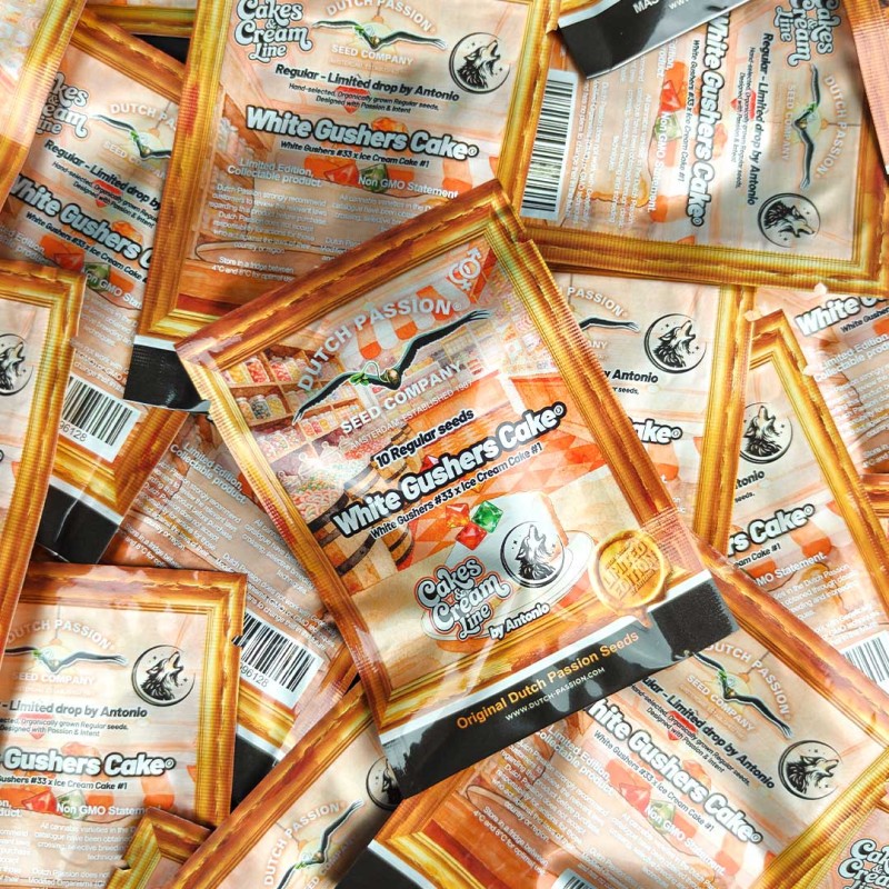 Koop White Gushers Cake Reguliere Cannabiszaden (Limited Edition)