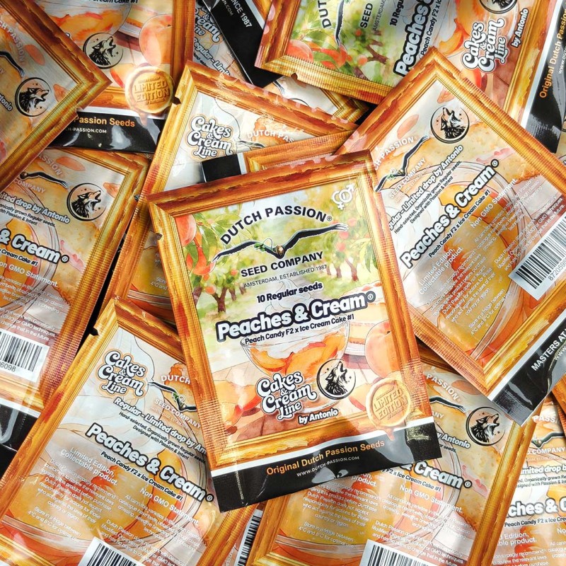 Koop Peaches & Cream Reguliere Cannabiszaden (Limited Edition)