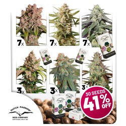 Pack Promo Autofloraison