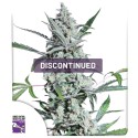 Semena konopí Fat Pete's Cookies Auto (Ukončena) | Dutch Passion