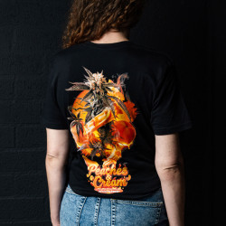 Peaches & Cream T-Shirt