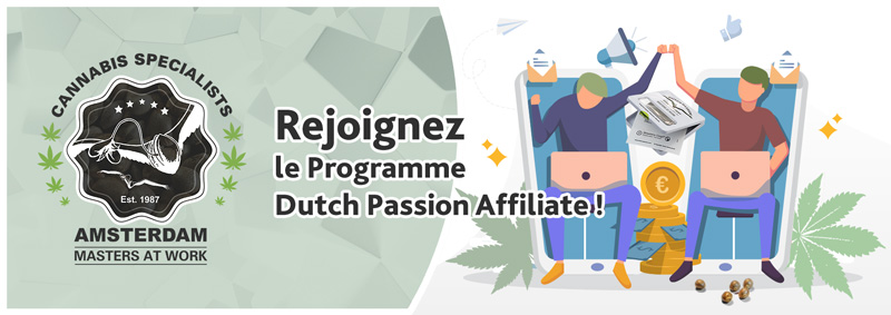 Affiliate Program