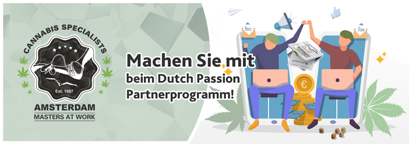Affiliate Program