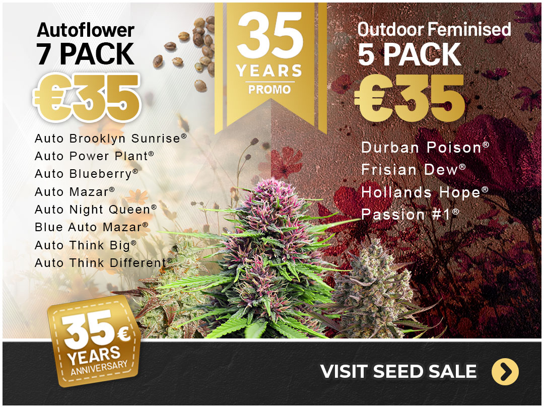 Dutch Passion 35 euro for 35 years
