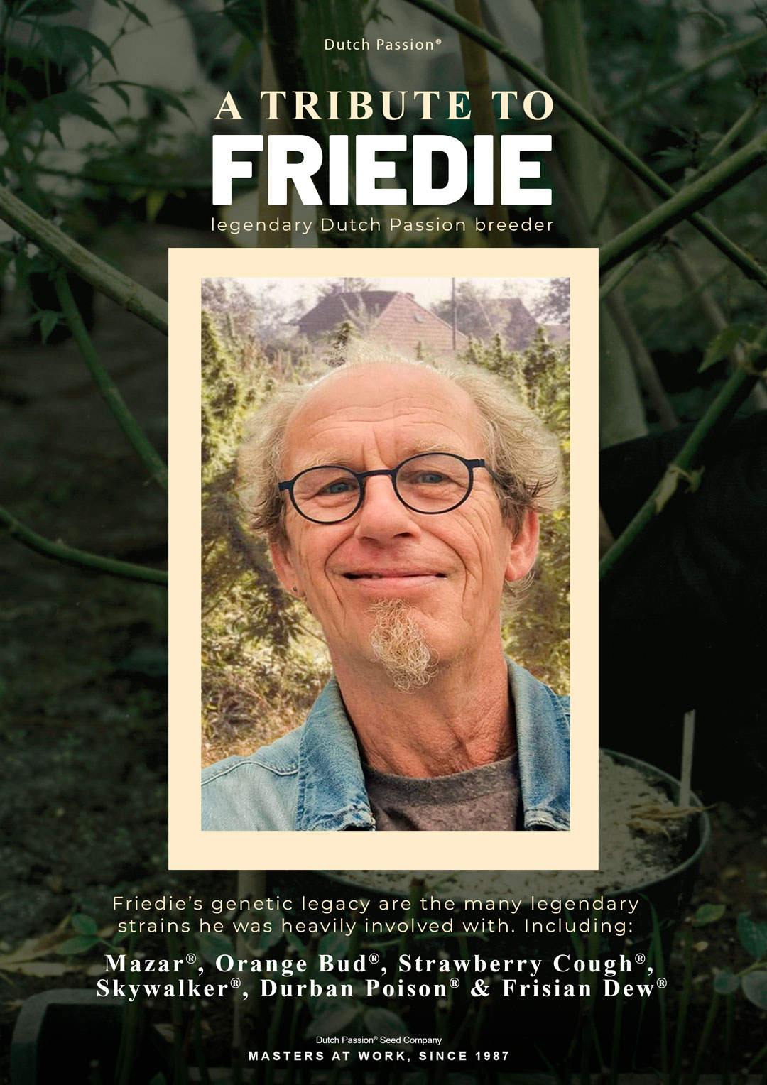 A-tribute-to-Friedie-legendary-Dutch-Passion-breeder