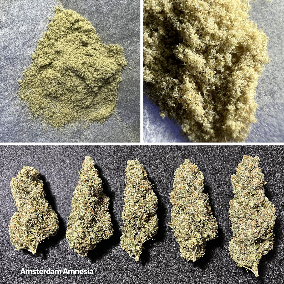 Her smell is very similar to her taste with strong lime notes mixed with gasoline and black pepper.