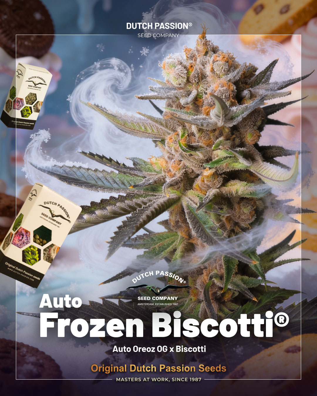 Auto Frozen Biscotti