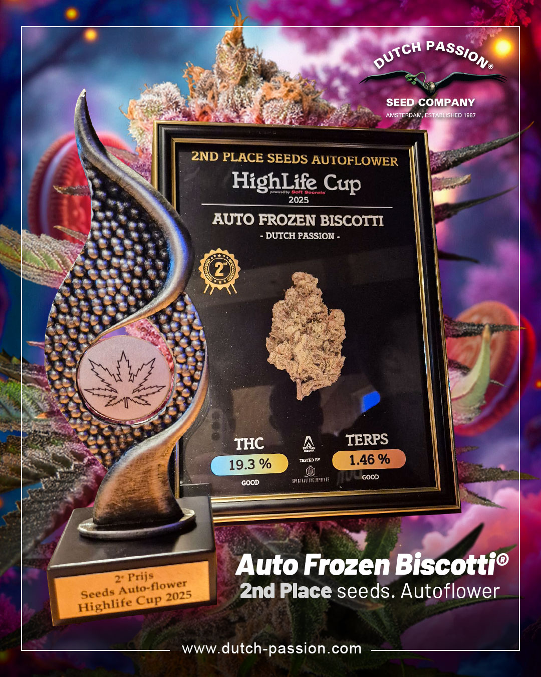Auto-Frozen-Biscotti-autoflower-wins-2nd-place-highlife-cup-2025